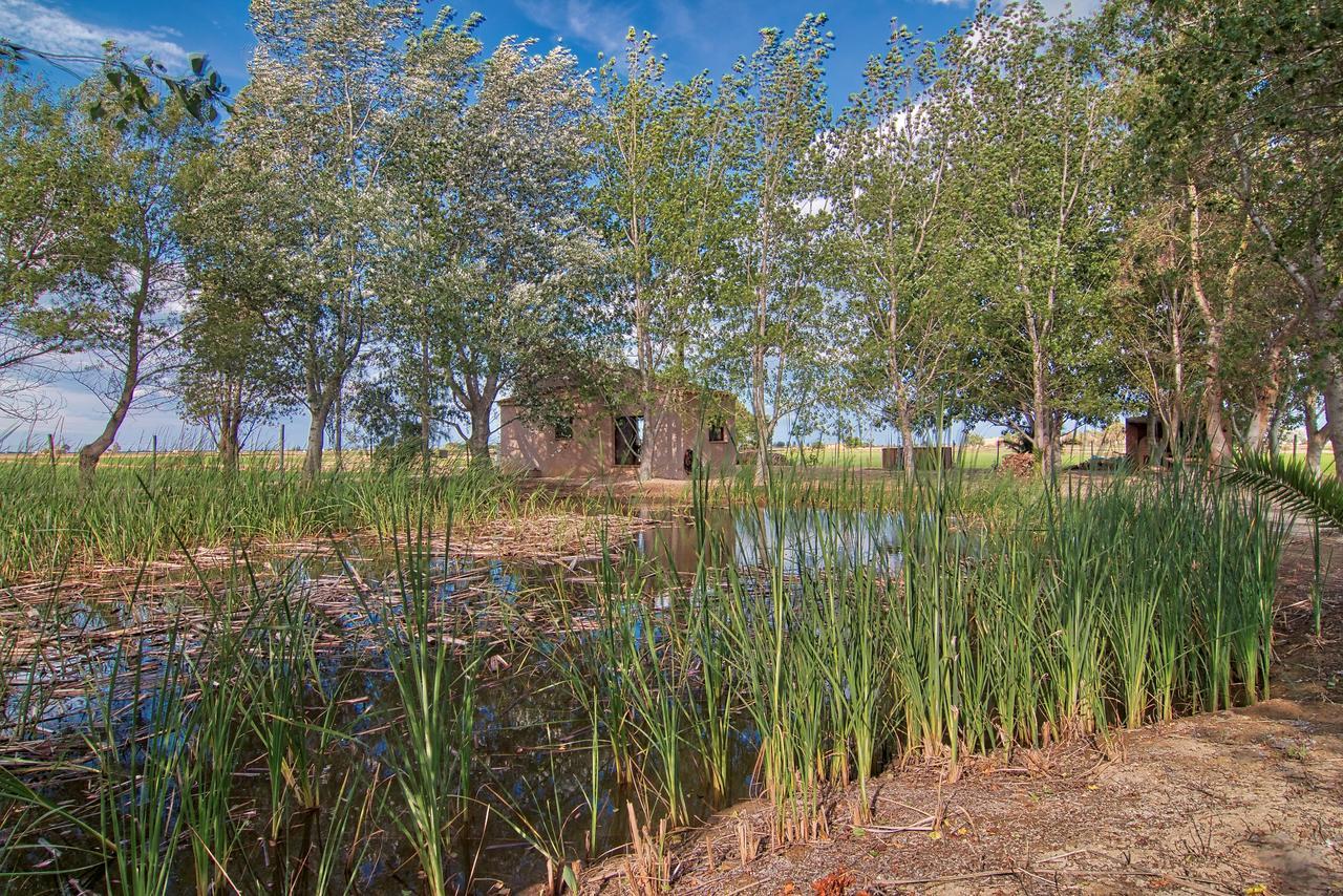 La Illeta Vila Deltebre Exterior foto
